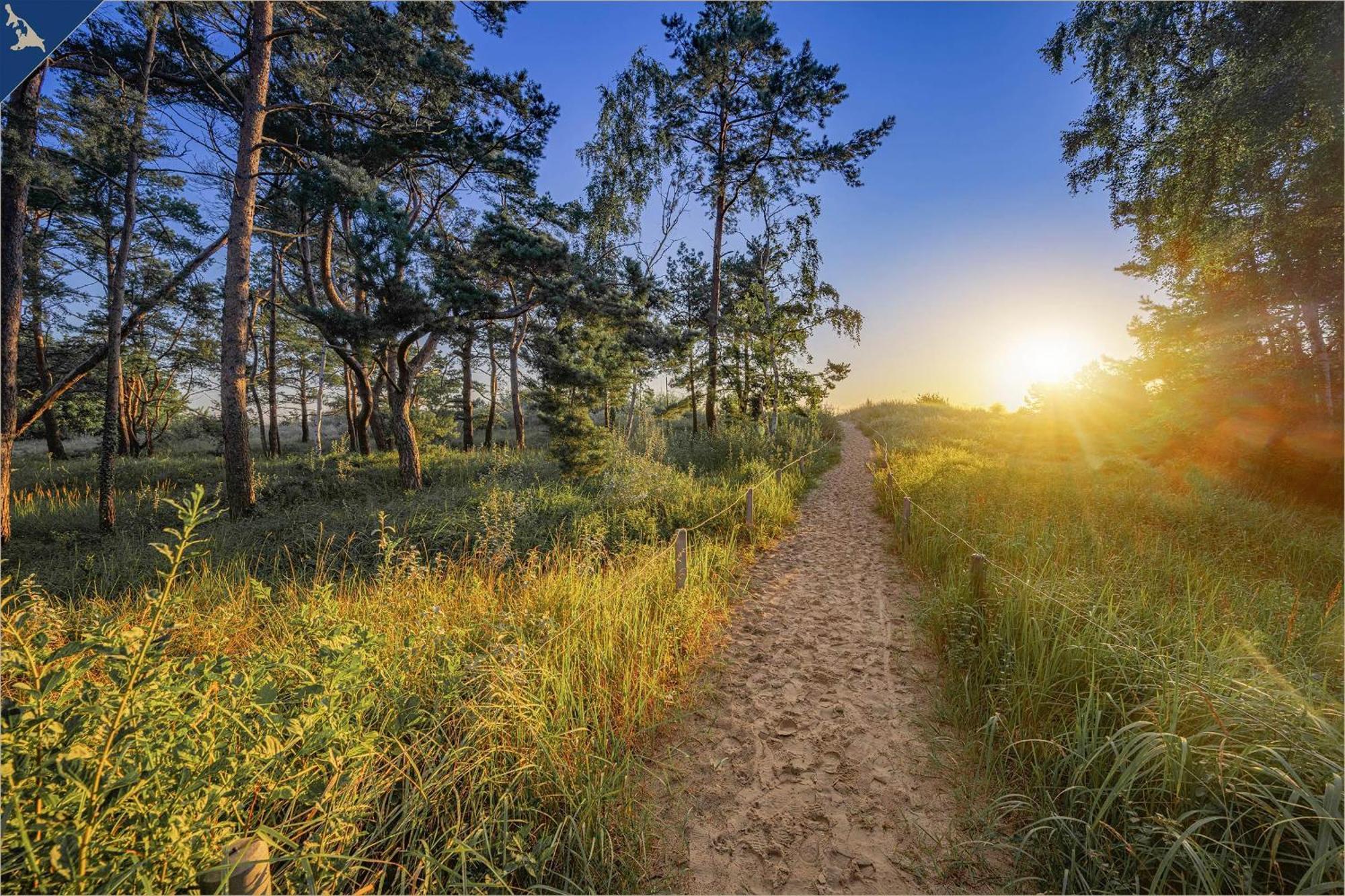 Tema 14 Lägenhet Heringsdorf  Exteriör bild