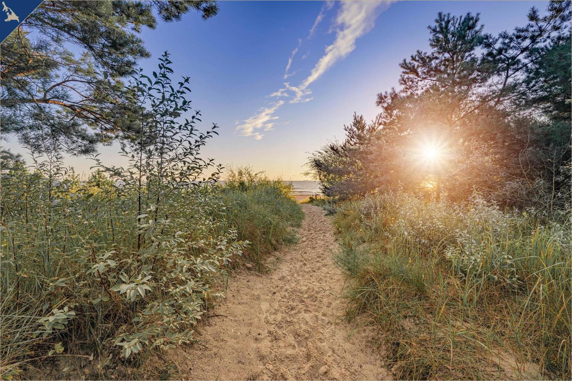Tema 14 Lägenhet Heringsdorf  Exteriör bild